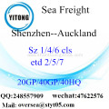 Shenzhen Port Sea Freight Shipping To Auckland